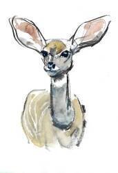 Kudu Fawn (Mark Adlington) - Muzeo.com