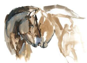 Nose to Nose (Mark Adlington) - Muzeo.com