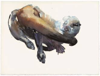 Otter Study I - 'Talisker' (Mark Adlington) - Muzeo.com