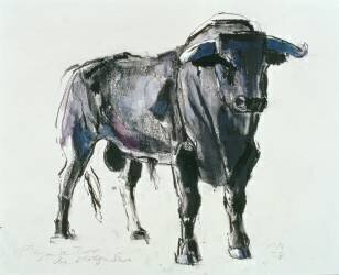Plaza de Toros de Miajadas (Mark Adlington) - Muzeo.com