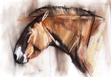 Resting Horse (Mark Adlington) - Muzeo.com