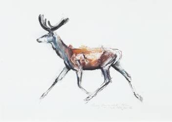Running Stag in velvet (Mark Adlington) - Muzeo.com