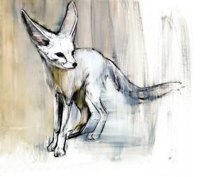 Sand Fox (Mark Adlington) - Muzeo.com