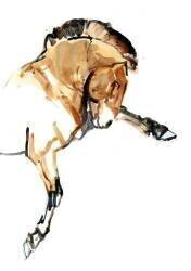 Stallion (Mark Adlington) - Muzeo.com