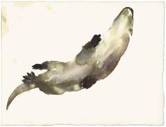 Swimming Above (Mark Adlington) - Muzeo.com