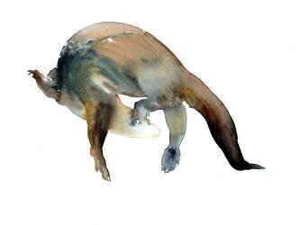 Tail Turn (Mark Adlington) - Muzeo.com