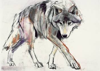 Wolf (Mark Adlington) - Muzeo.com