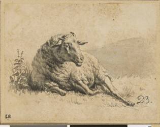 Mouton couché vu de face, la tête tournée vers la droite (Jean-Jacques de Boissieu) - Muzeo.com