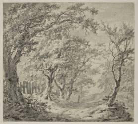 Un bois de chêne (Paul-Theodor van Brussel) - Muzeo.com