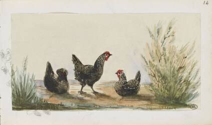 Carnet : trois poules dans la campagne (Léon Bonnat) - Muzeo.com