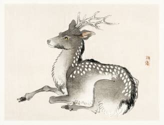 Elk (Kono Barei) - Muzeo.com