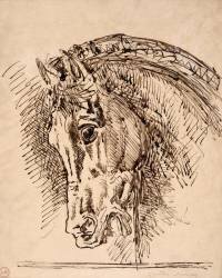 Etude de tête de cheval pour Diomède dévoré par ses chevaux (Gustave Moreau) - Muzeo.com