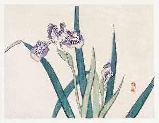 Irises (Kono Barei) - Muzeo.com