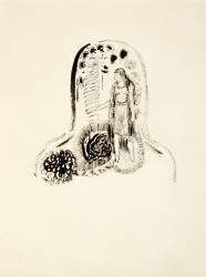 Jeune Fille dans un Jardin de Fleurs (Odilon Redon) - Muzeo.com