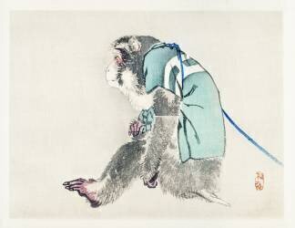 Monkey (Kono Barei) - Muzeo.com