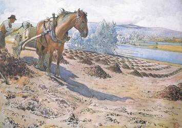 Muck spreading on a fallow field (Carl Larsson) - Muzeo.com