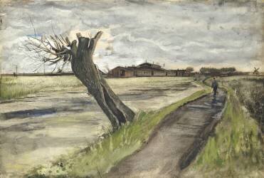 Pollard Willow (Vincent van Gogh) - Muzeo.com