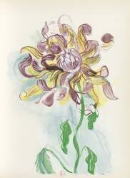Pour un herbier, Colette (Raoul Dufy) - Muzeo.com