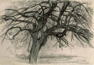 Preliminary Study for Evening: The Red Tree (Piet Mondrian) - Muzeo.com