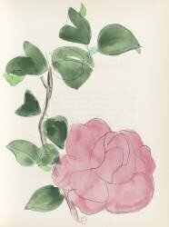 Rose, Pour un herbier, Colette (Raoul Dufy) - Muzeo.com