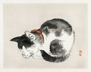 Sleeping cat (Kono Barei) - Muzeo.com