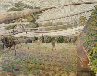 Strawberry nets (Eric Ravilious) - Muzeo.com