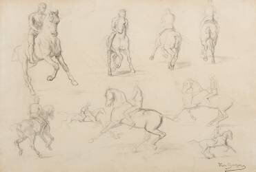 Studies of a Horse and Rider (Rosa Bonheur) - Muzeo.com