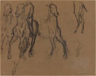 Study of Horses (Edgar Degas) - Muzeo.com