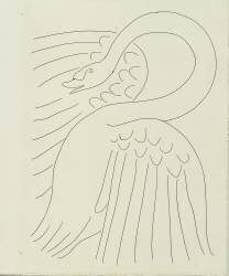 The Swan, 1932 (Henri Matisse) - Muzeo.com