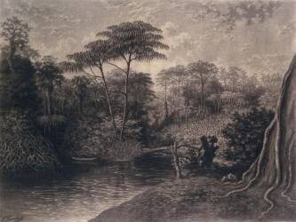 View of the Cameroon River (Frederick Sandys) - Muzeo.com
