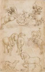 Courrier monté sur un cheval qui galope, étude de chevaux (Leonardo da Vinci) - Muzeo.com