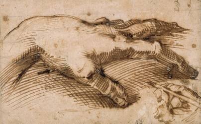 Etude d'une main en dessinant une autre (Michelangelo Buonarroti) - Muzeo.com