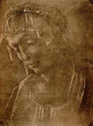 Female head (Sandro Botticelli) - Muzeo.com