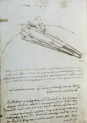 Flying machine drawing (Leonardo da Vinci) - Muzeo.com
