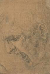 Head of a screaming man (Leonardo da Vinci) - Muzeo.com
