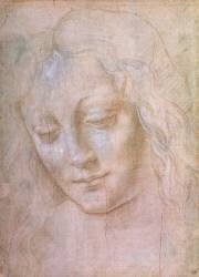 Head of a woman (Leonardo da Vinci (school of)) - Muzeo.com