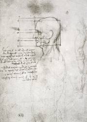 Head of an Old Man in Profile (Leonardo da Vinci) - Muzeo.com