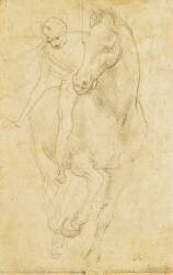Horse and Rider (Leonardo da Vinci) - Muzeo.com