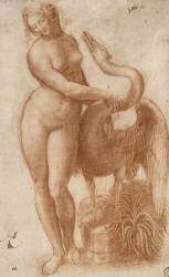 Léda nue et debout, caressée par le cygne (Leonardo da Vinci) - Muzeo.com