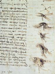 Scientific diagrams (Leonardo da Vinci) - Muzeo.com