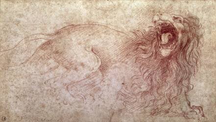 Sketch of a roaring lion (Leonardo da Vinci) - Muzeo.com
