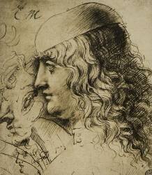 Study of a masculine head (Leonardo da Vinci) - Muzeo.com