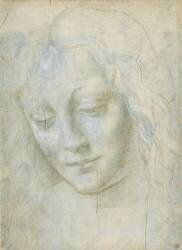 Tête de femme (Leonardo da Vinci) - Muzeo.com