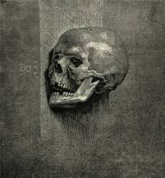 Tête de mort (Albrecht Dürer) - Muzeo.com
