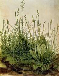 The Great Piece of Turf (Albrecht Dürer) - Muzeo.com