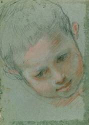 The Head of a Boy (Baroccio) - Muzeo.com
