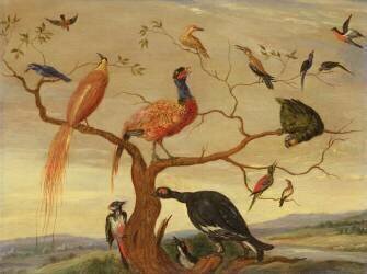 A Concert of Birds (Jan van Kessel) - Muzeo.com