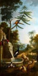 A Crested Crane, a Peacock, a Macaw, a Shelduck and Markhors (Christophe Huet) - Muzeo.com
