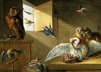 A Family of Owls (Jan van Kessel) - Muzeo.com