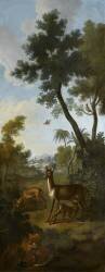 A Roe Deer, a Doe and a Fawn with a Fox Eating a Pheasant (Christophe Huet) - Muzeo.com